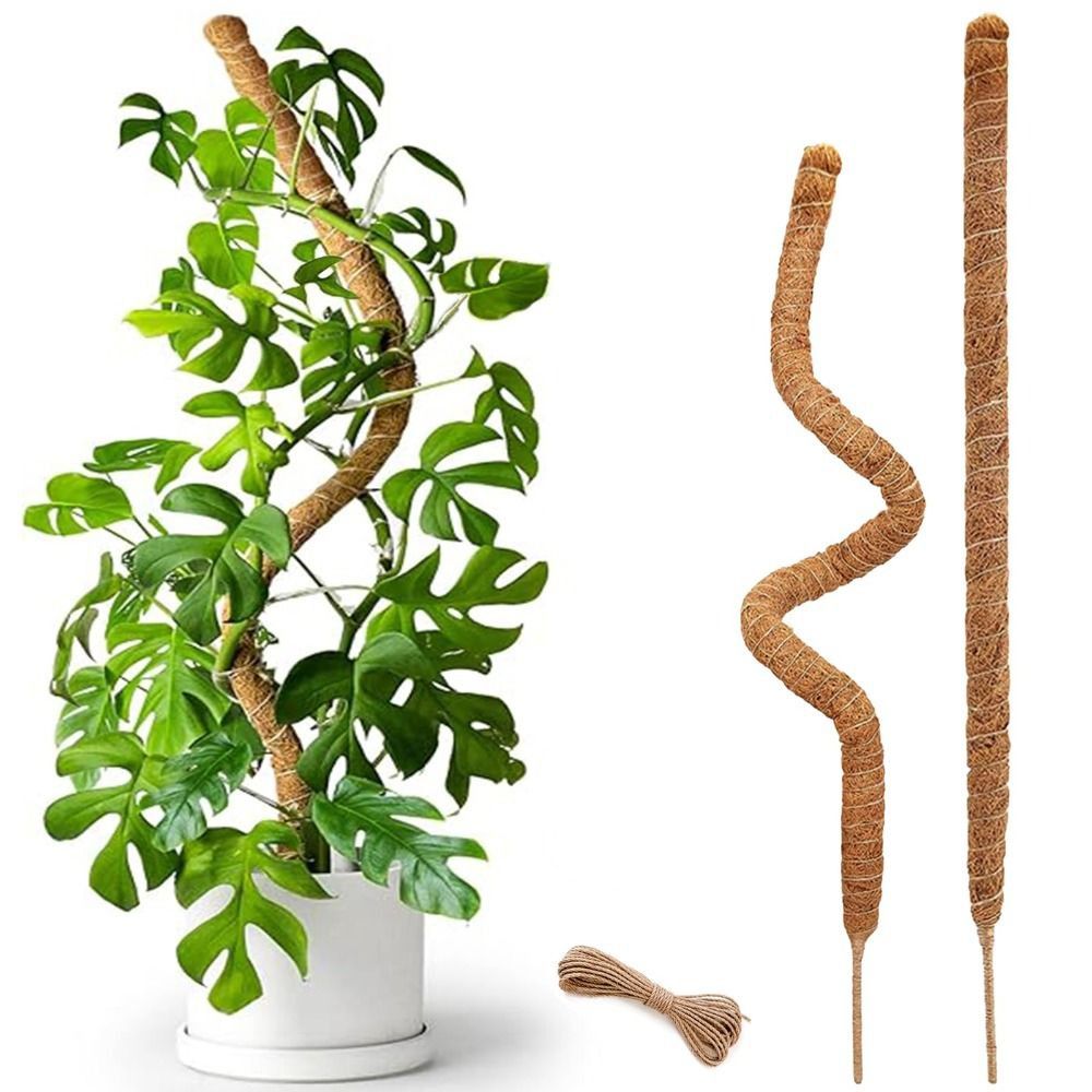 Sphagnum Moss Dry - Bitki Desteği Bükülebilir Yosun Çubuğu Doğal