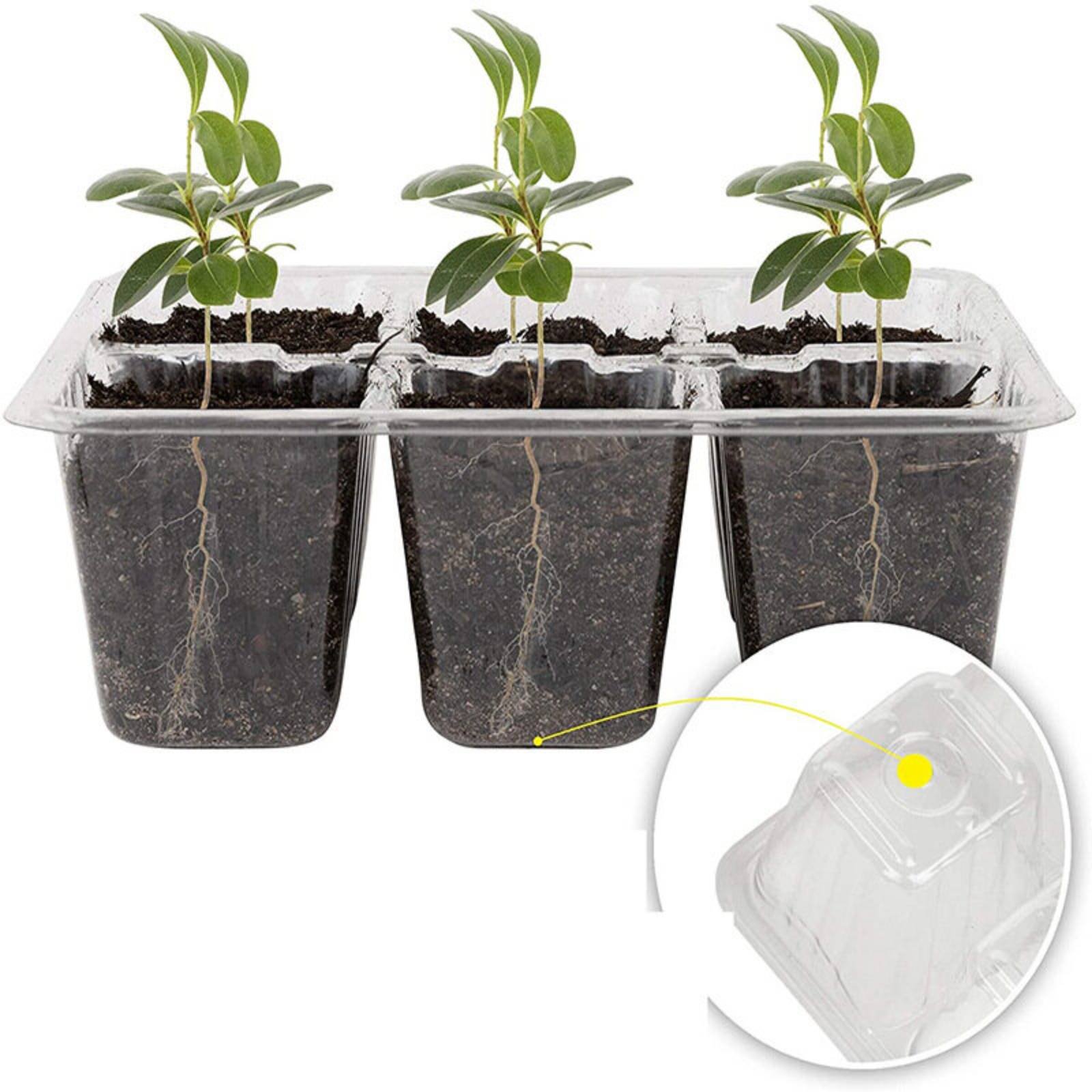 12 Bölmeli Çimlendirme Tepsisi - Humidity Dome Kit incelemesi ve fiyatı