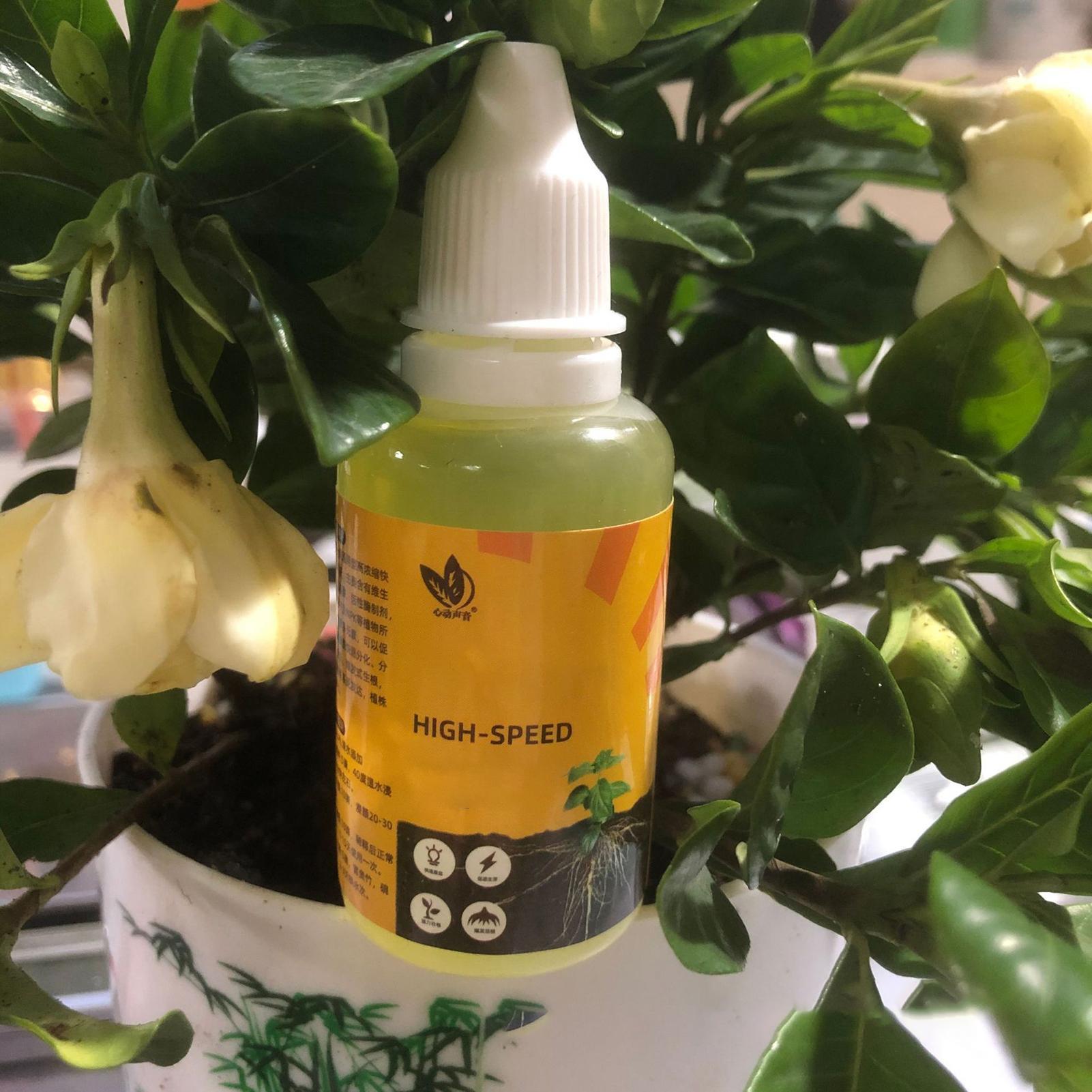 50 ml Bitki Köklendirme Stimül - Root Stimulator Liquid incelemesi ve fiyatı