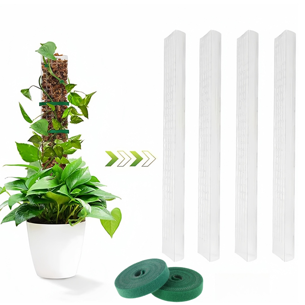 2/4/6 adet yosun kutup plastik - Sphagnum Moss Dry incelemesi ve fiyatı